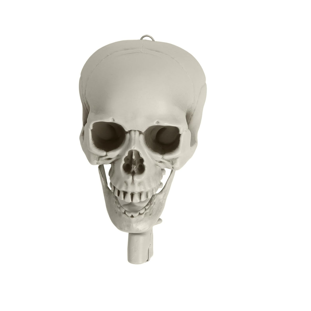 Life Size Halloween Skeleton F902