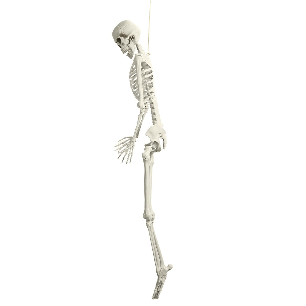 Life Size Halloween Skeleton F902