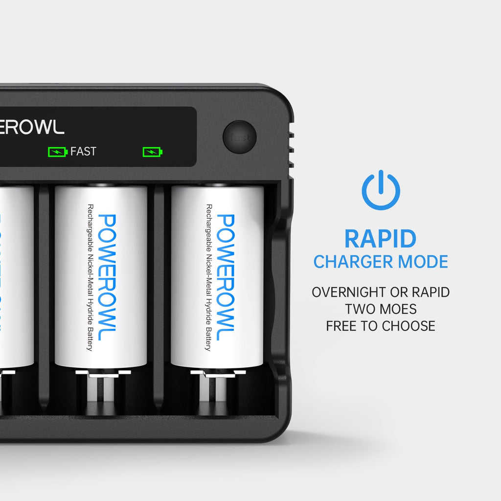 Rechargeable D Batteries with 4 Bay Battery Charger J161724