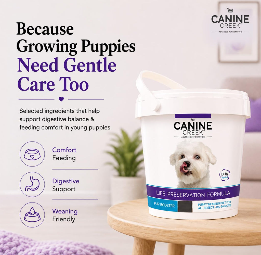 Puppy Weaning Diet 300g/10.5 Ounce R56584