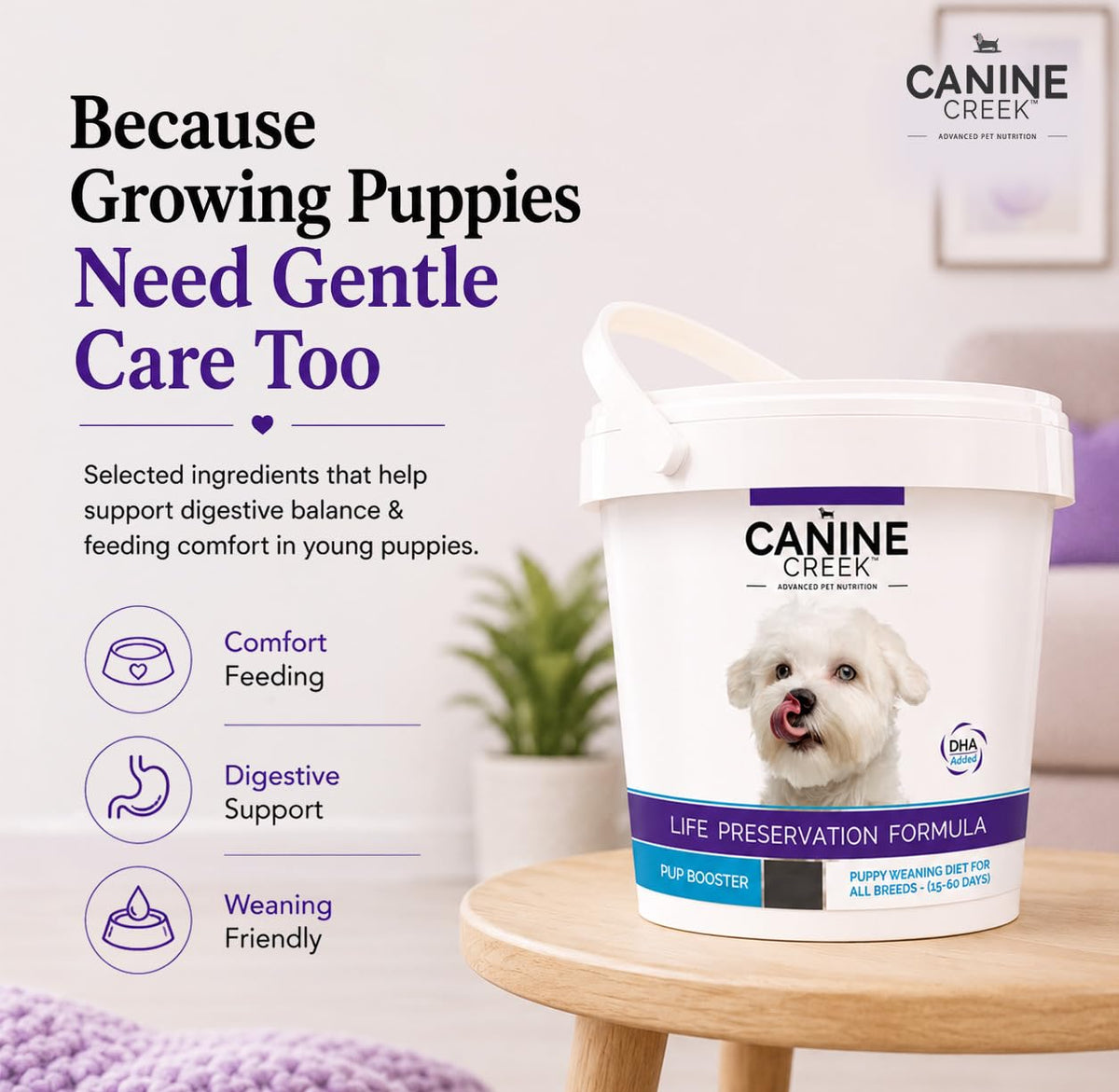 Puppy Weaning Diet 300g/10.5 Ounce R56584