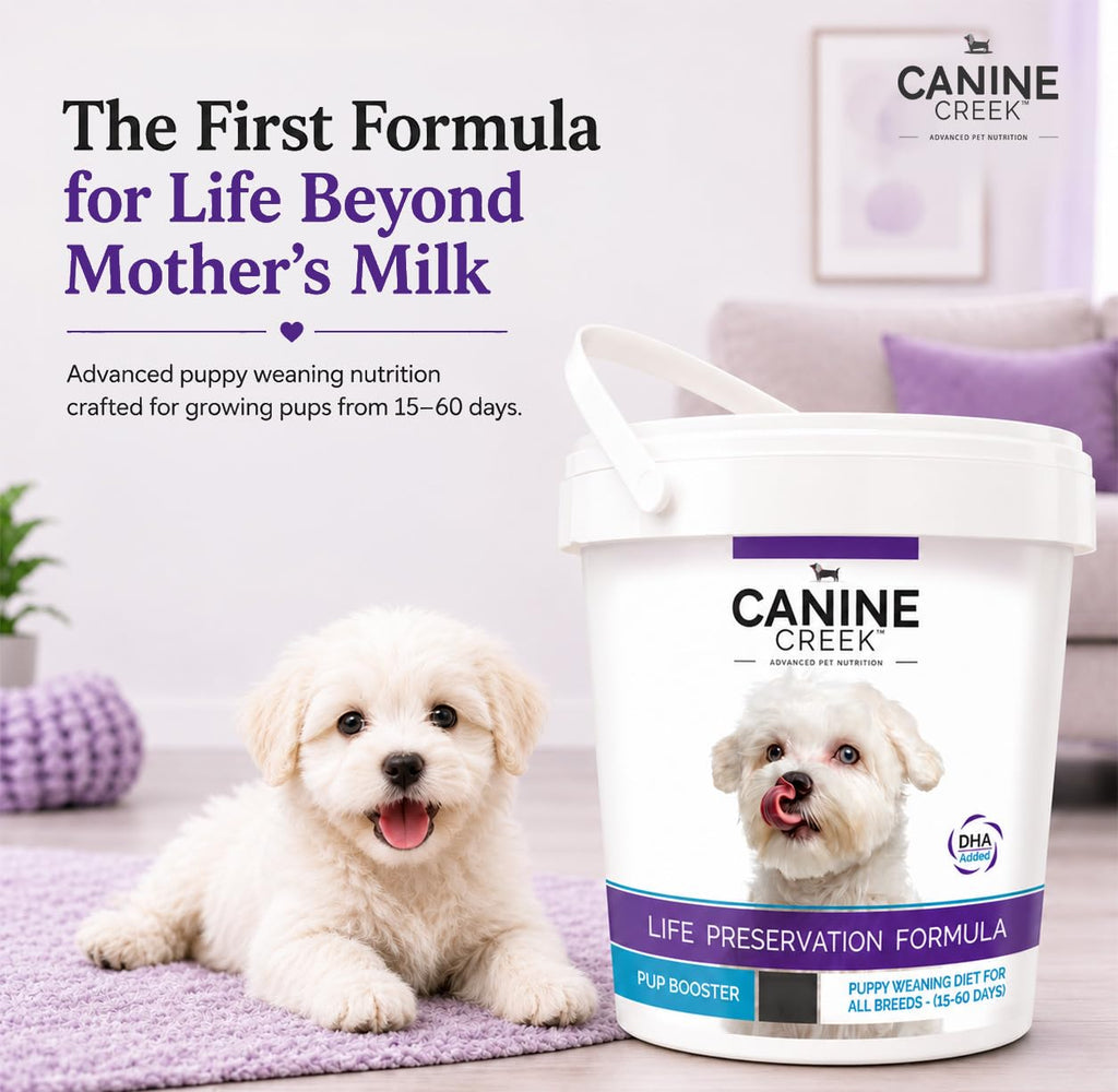 Puppy Weaning Diet 300g/10.5 Ounce R56584