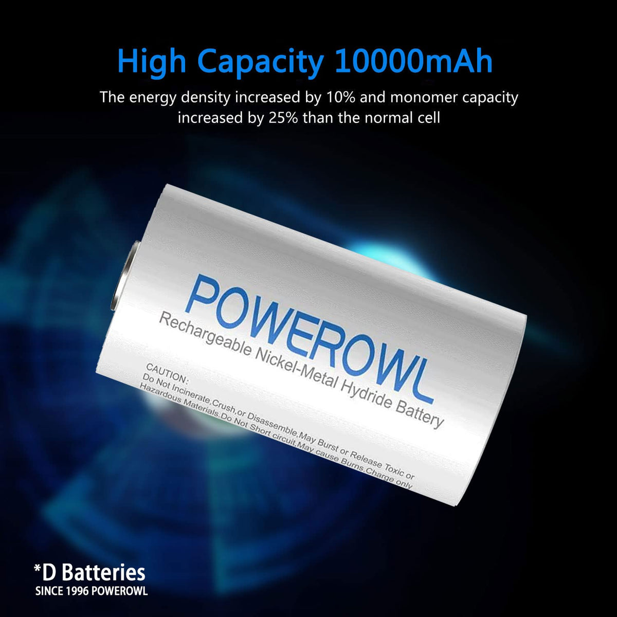 Rechargeable D Batteries with 4 Bay Battery Charger J161724