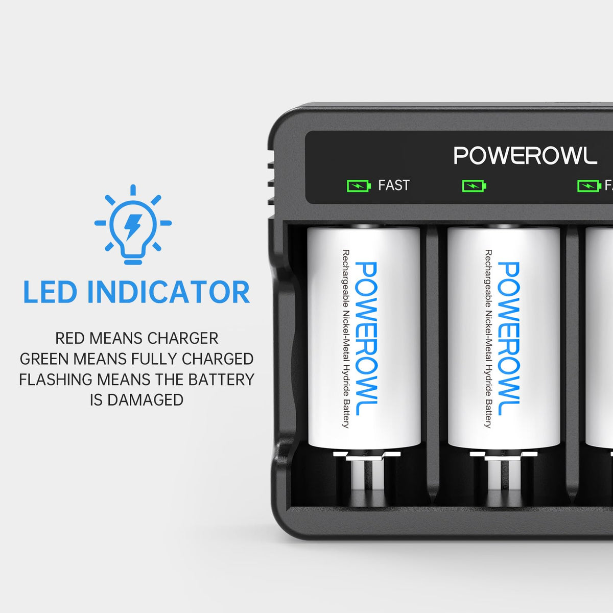Rechargeable D Batteries with 4 Bay Battery Charger J161724