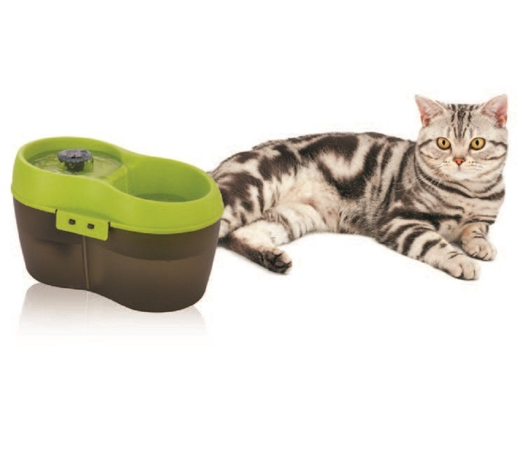 Lime Green Translucent Black 67 fl. oz Cat Water Fountain Y483848