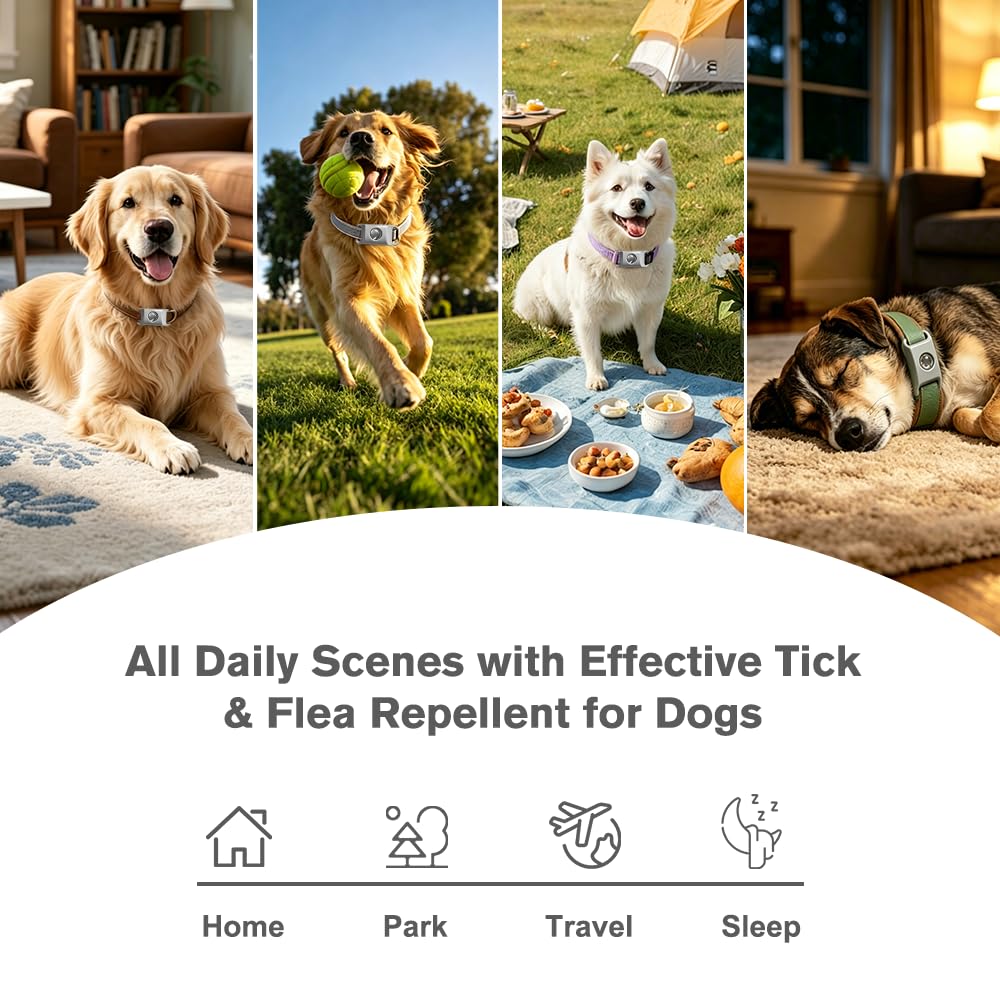 Flea and Tick Pendant for Dogs with 2 Silicone Buckles 4 Refills T527348