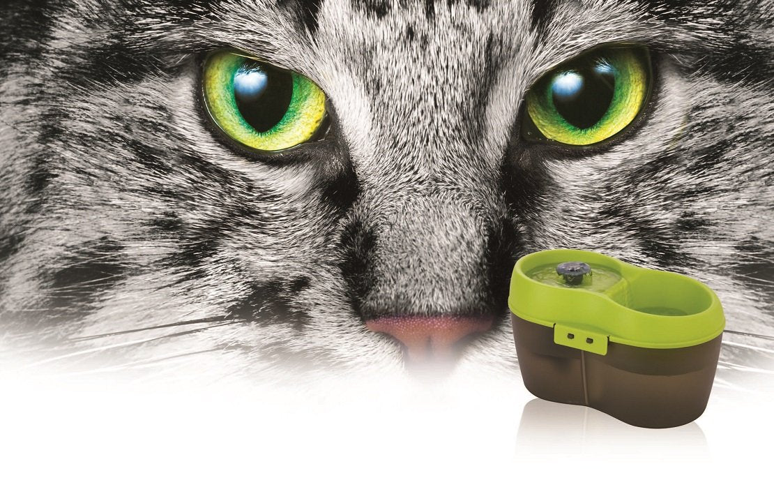 Lime Green Translucent Black 67 fl. oz Cat Water Fountain Y483848