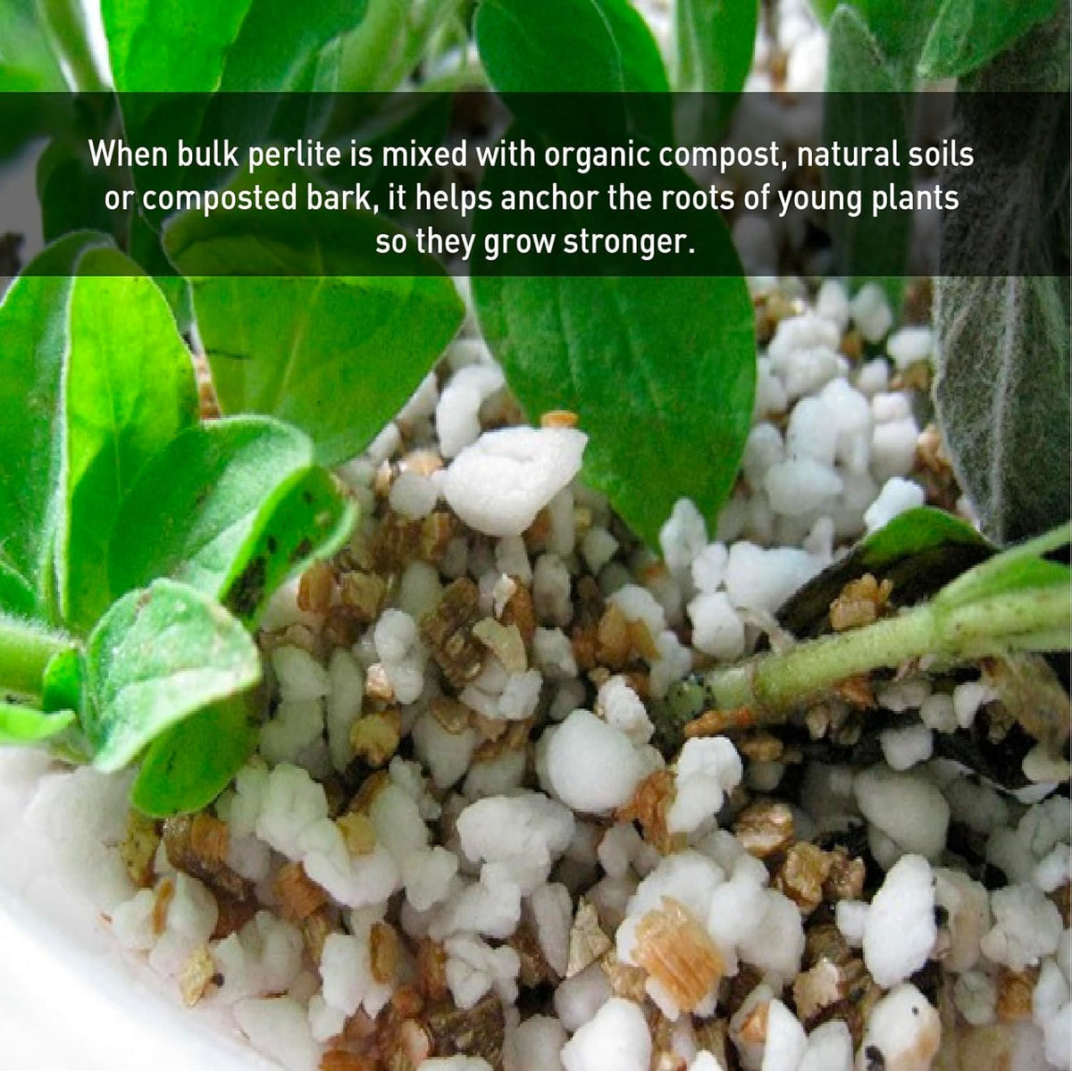 Perlite Horticultural Medium Grade Soil Additive 4 Cubic Feet 1 Bag T91354