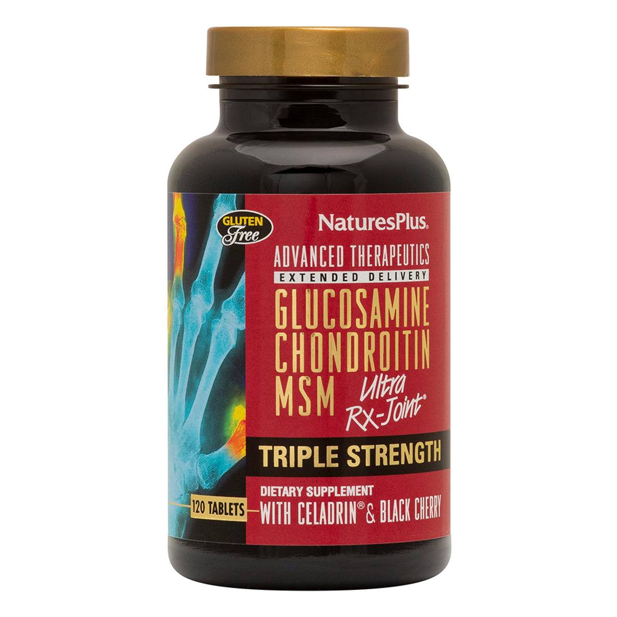 120 Tablets Glucosamine Chondroitin MSM Joint Support N356