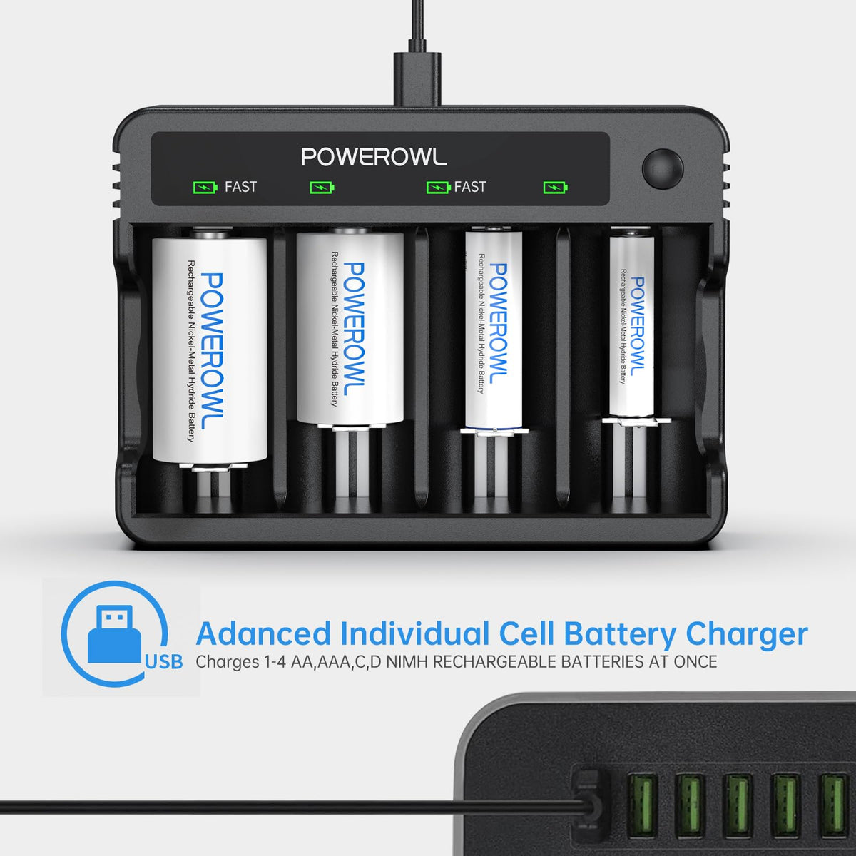 Rechargeable D Batteries with 4 Bay Battery Charger J161724