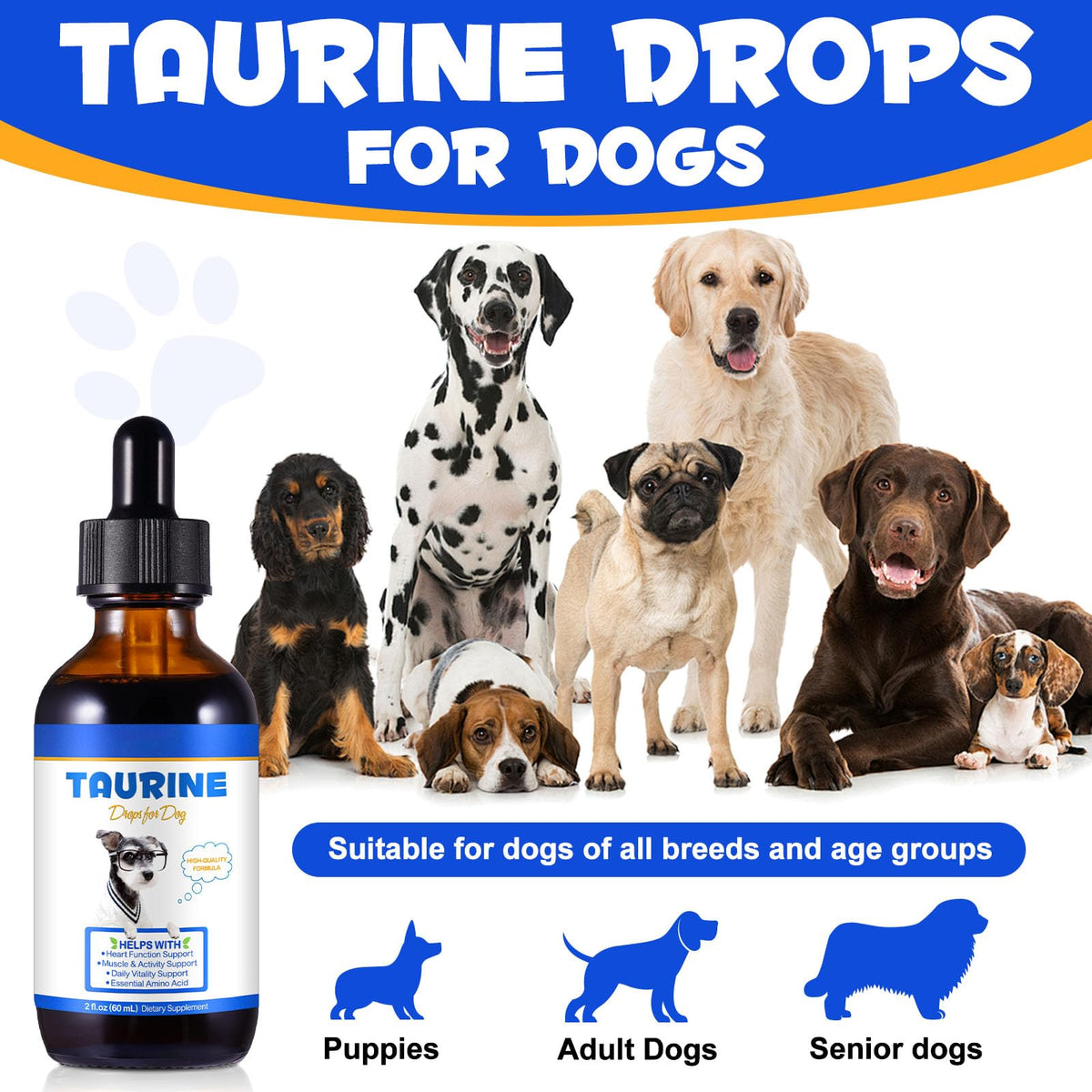 Taurine Liquid Supplement for Dogs 60ml R48635