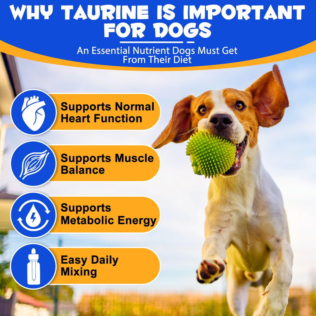 Taurine Liquid Supplement for Dogs 60ml R48635