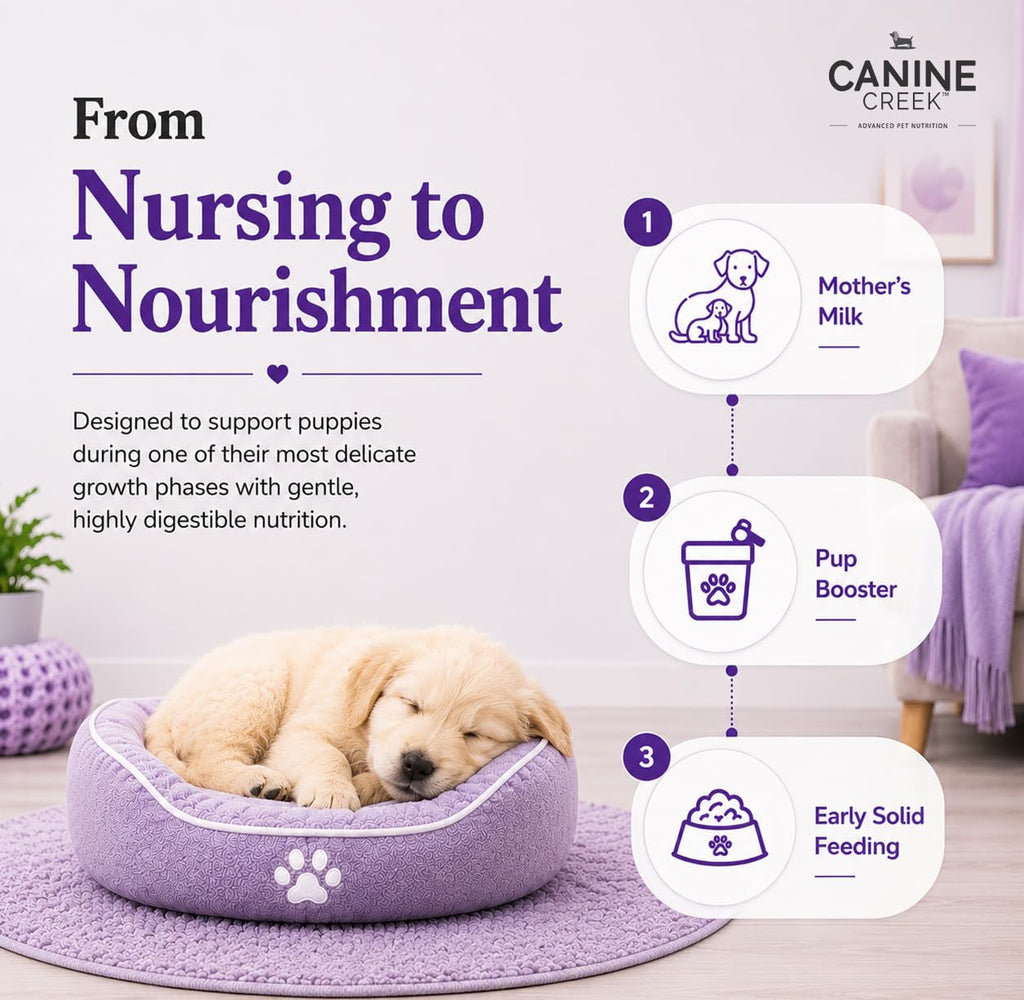 Puppy Weaning Diet 300g/10.5 Ounce R56584