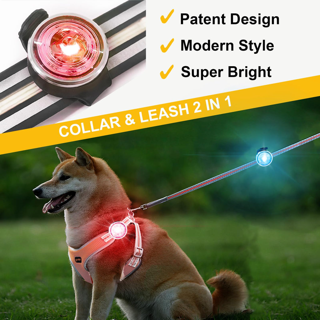 2-Pack Rechargeable Dog Collar Lights Q305