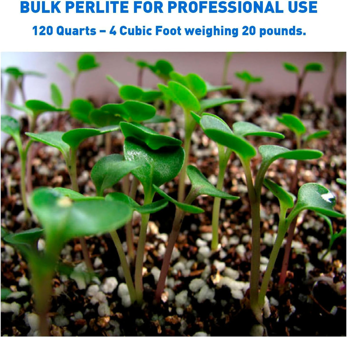 Perlite Horticultural Medium Grade Soil Additive 4 Cubic Feet 1 Bag T91354