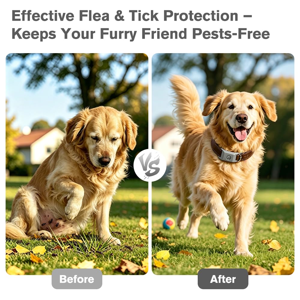 Flea and Tick Pendant for Dogs with 2 Silicone Buckles 4 Refills T527348