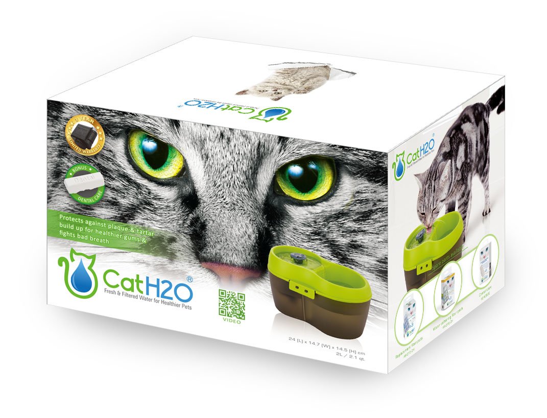 Lime Green Translucent Black 67 fl. oz Cat Water Fountain Y483848