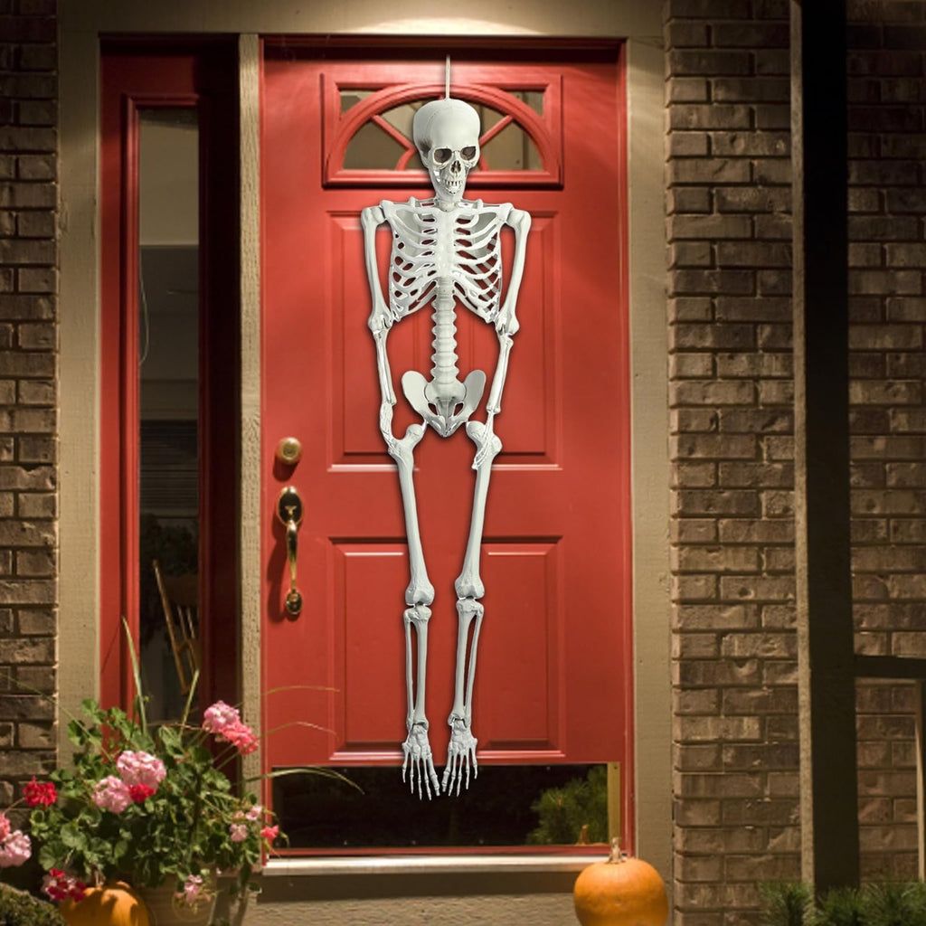 Life Size Halloween Skeleton F902
