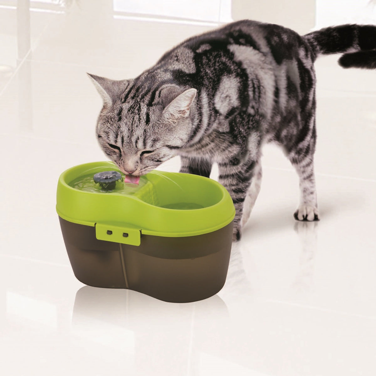 Lime Green Translucent Black 67 fl. oz Cat Water Fountain Y483848