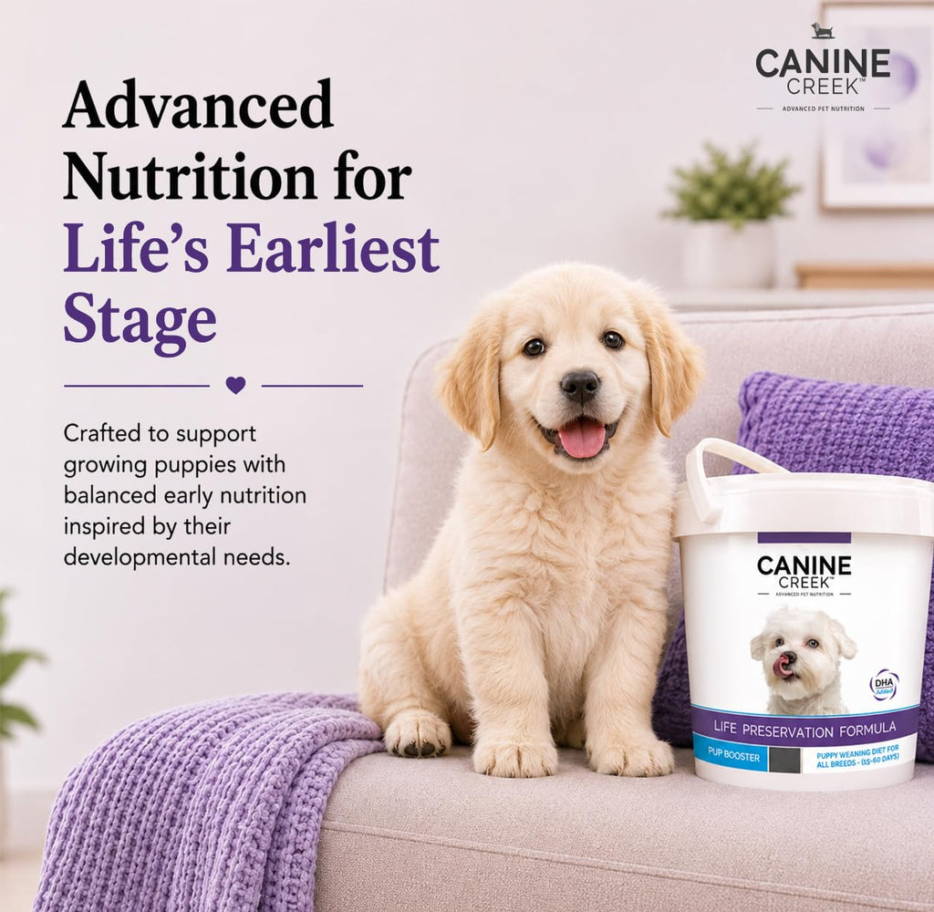 Puppy Weaning Diet 300g/10.5 Ounce R56584