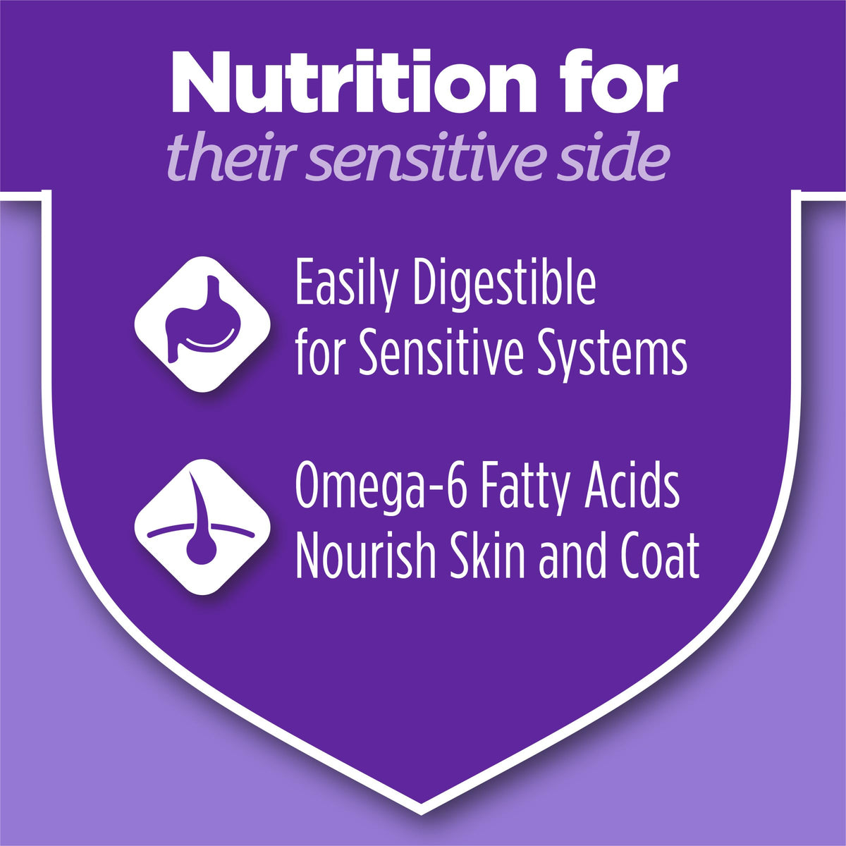 Sensitive Stomach & Skin Dry Cat Food 13 lb Bag W50036