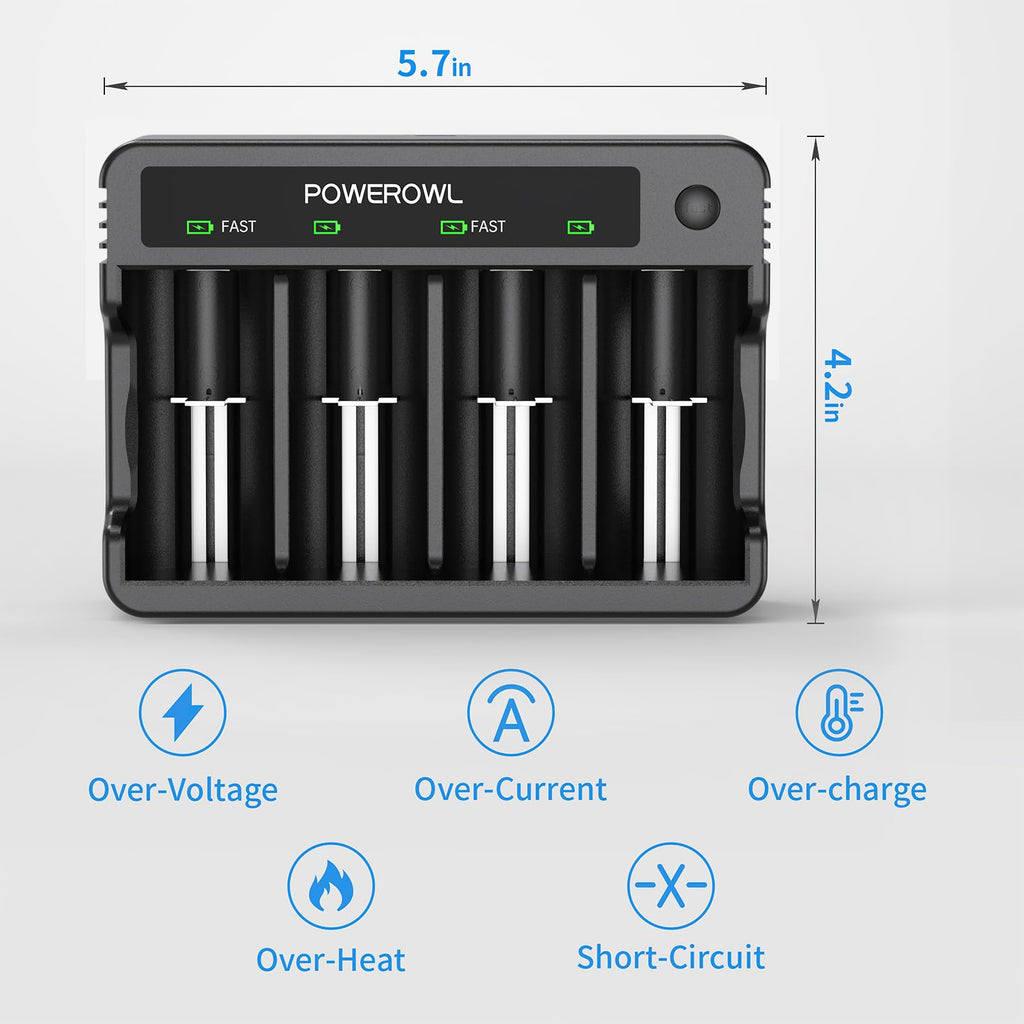 Rechargeable D Batteries with 4 Bay Battery Charger J161724