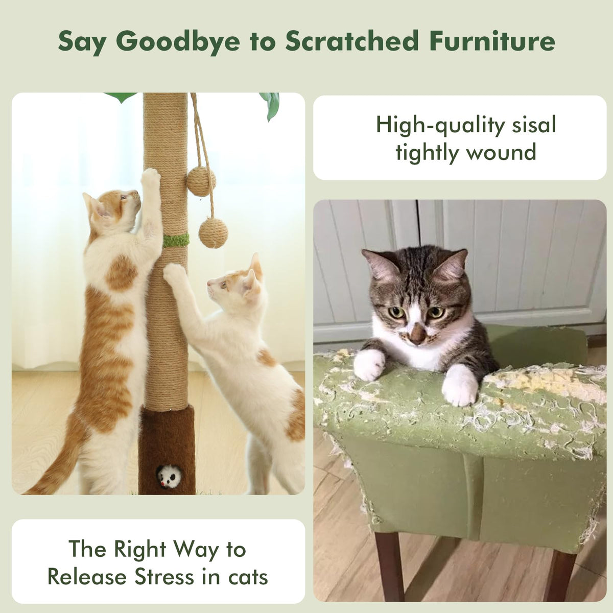 Tall Cat Scratching Post R81416