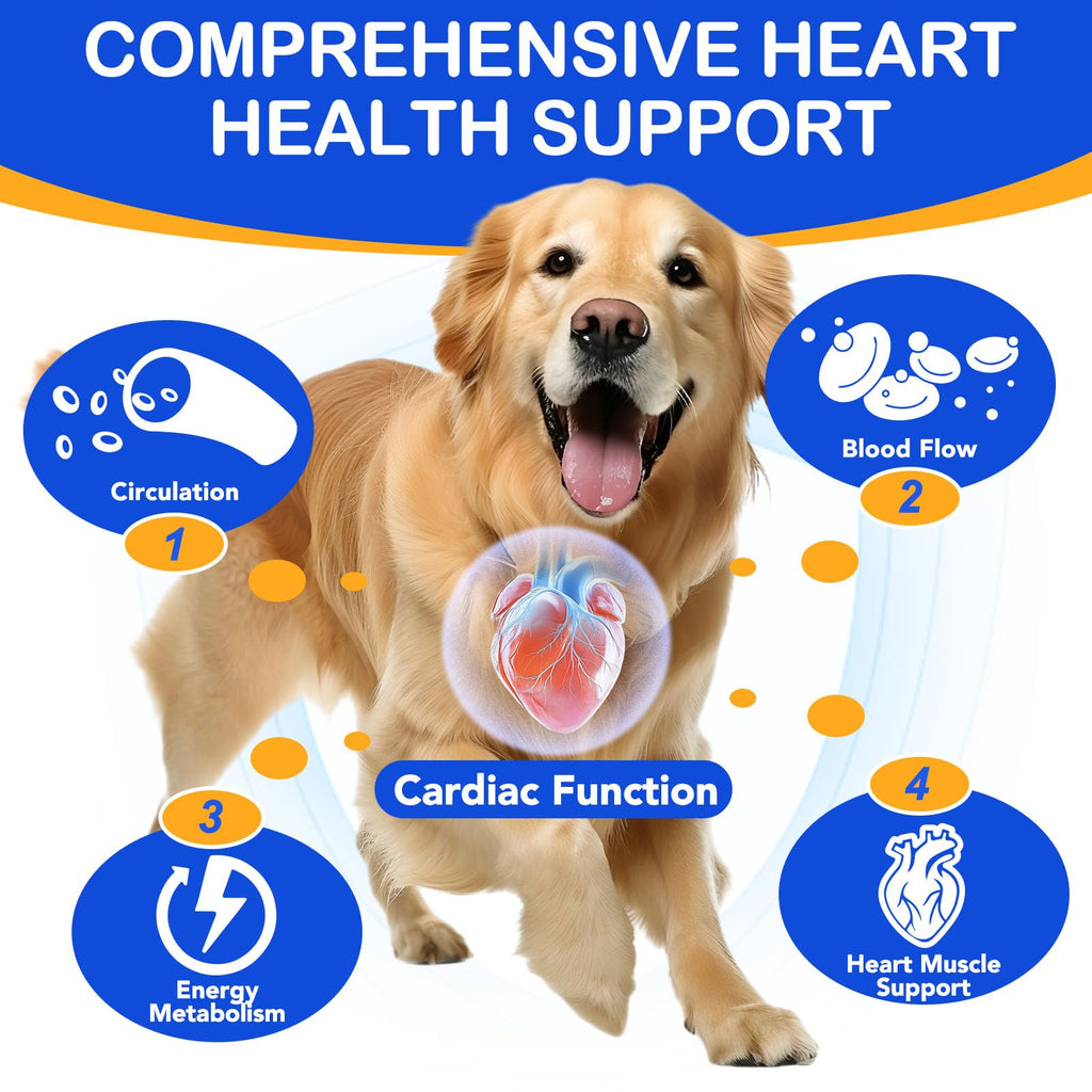 Taurine Liquid Supplement for Dogs 60ml R48635