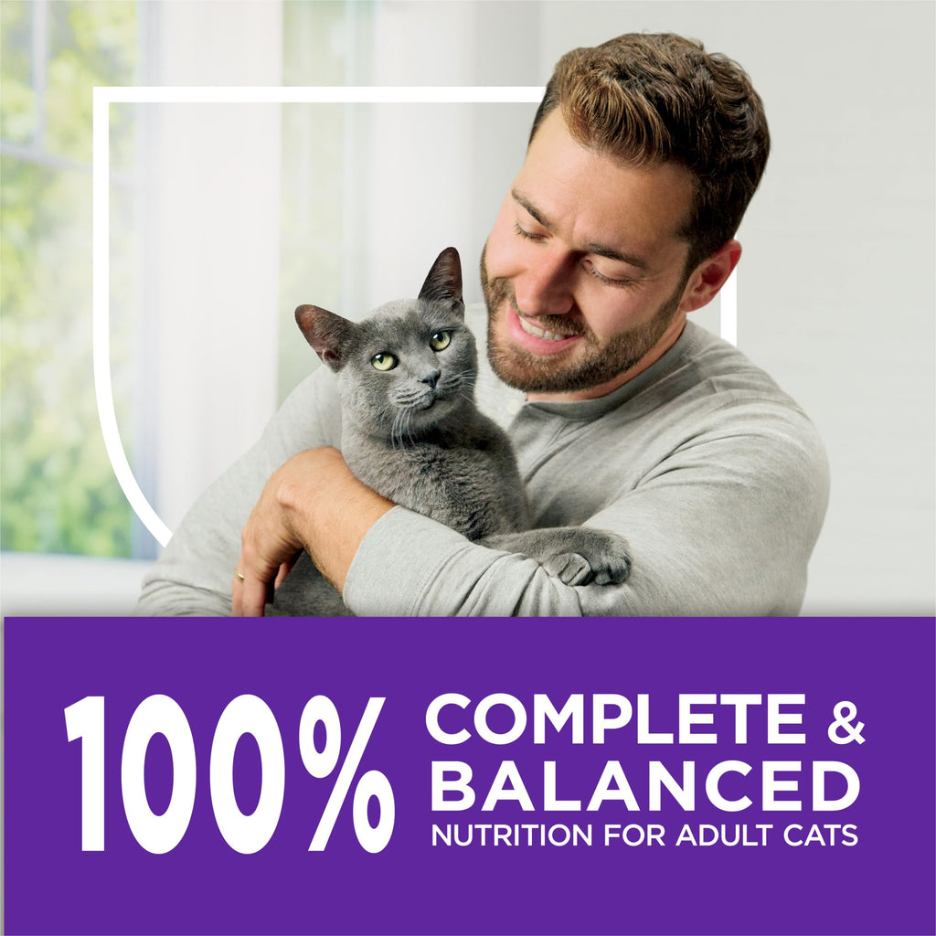 Sensitive Stomach & Skin Dry Cat Food 13 lb Bag W50036