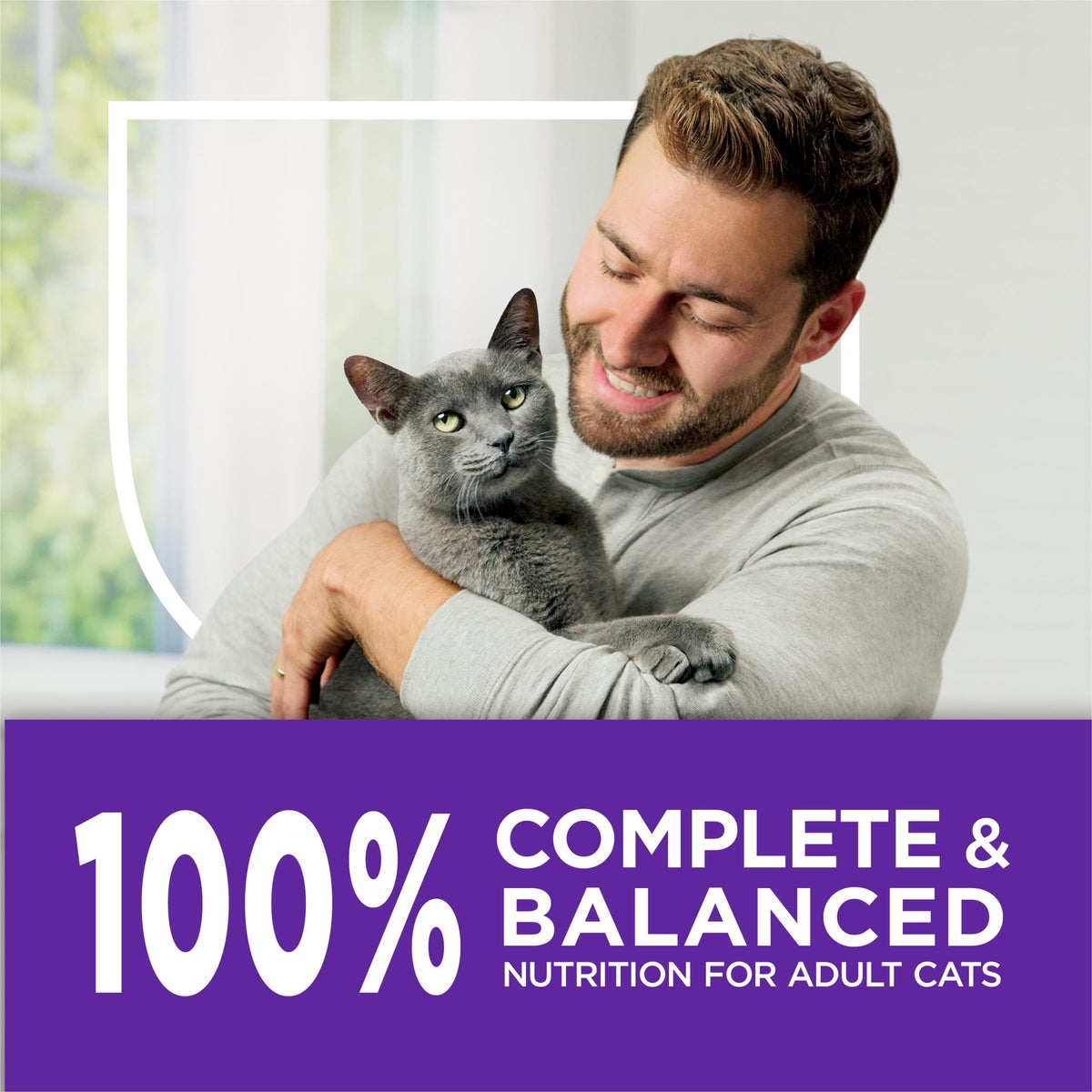 Sensitive Stomach & Skin Dry Cat Food 13 lb Bag W50036