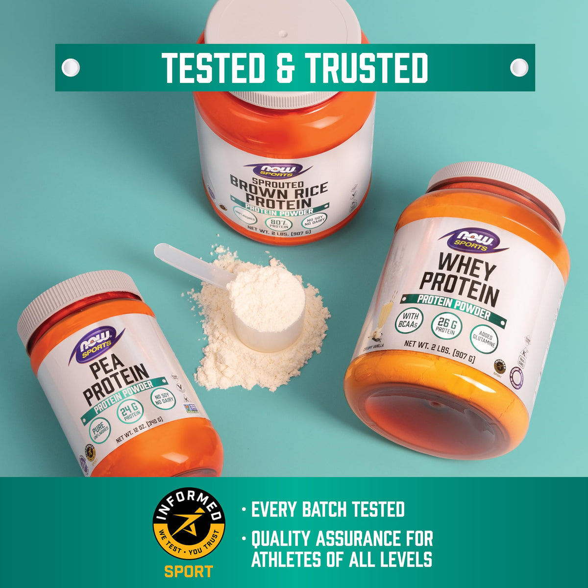 Whey Protein Concentrate Powder 5 lbs P79937