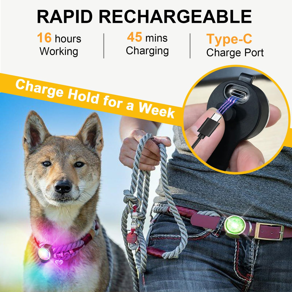 2-Pack Rechargeable Dog Collar Lights Q305