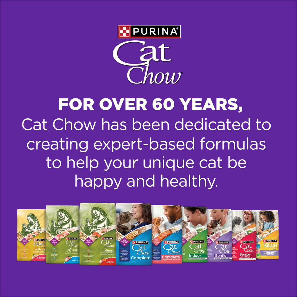 Sensitive Stomach & Skin Dry Cat Food 13 lb Bag W50036