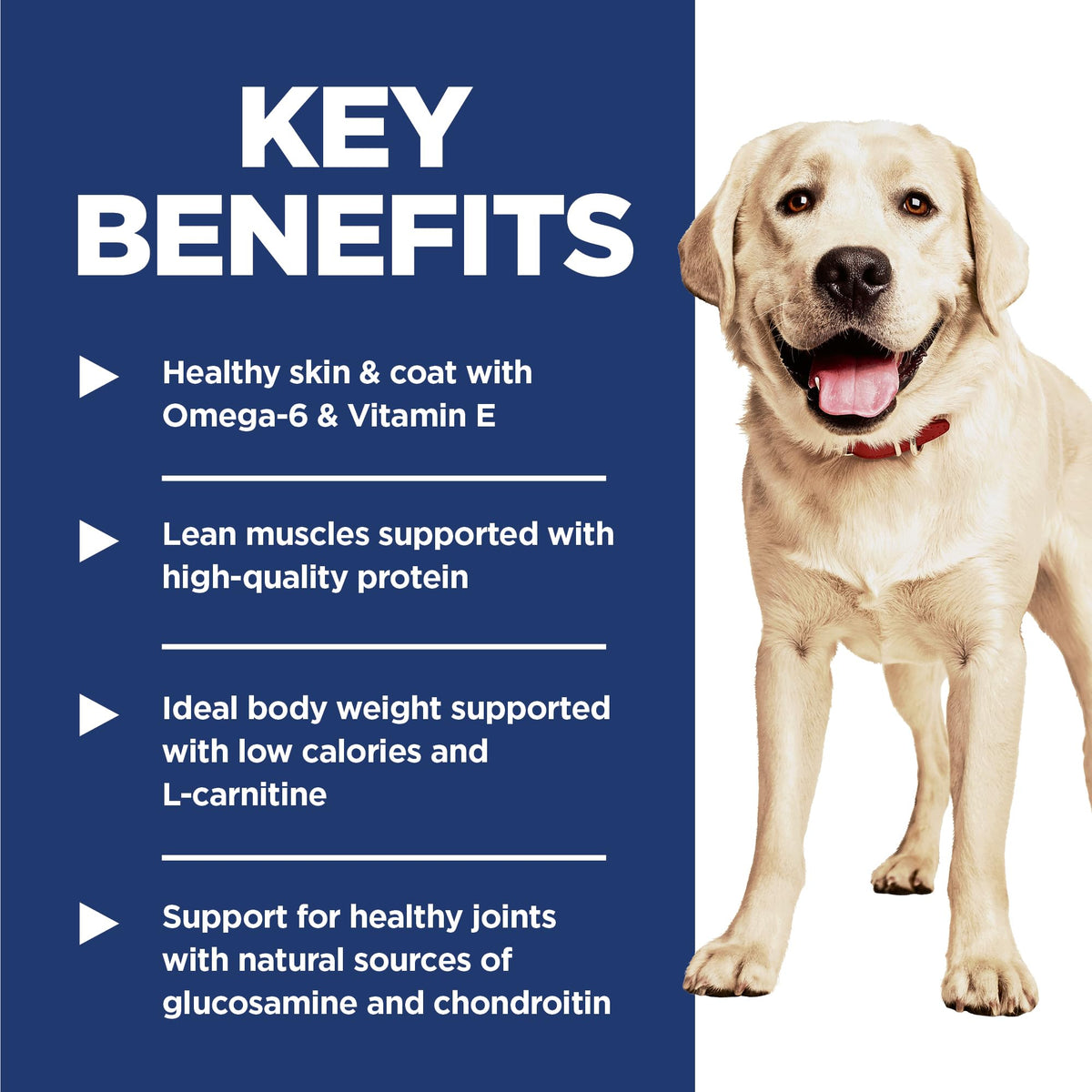 Large Breed Dry Dog Food Q620616