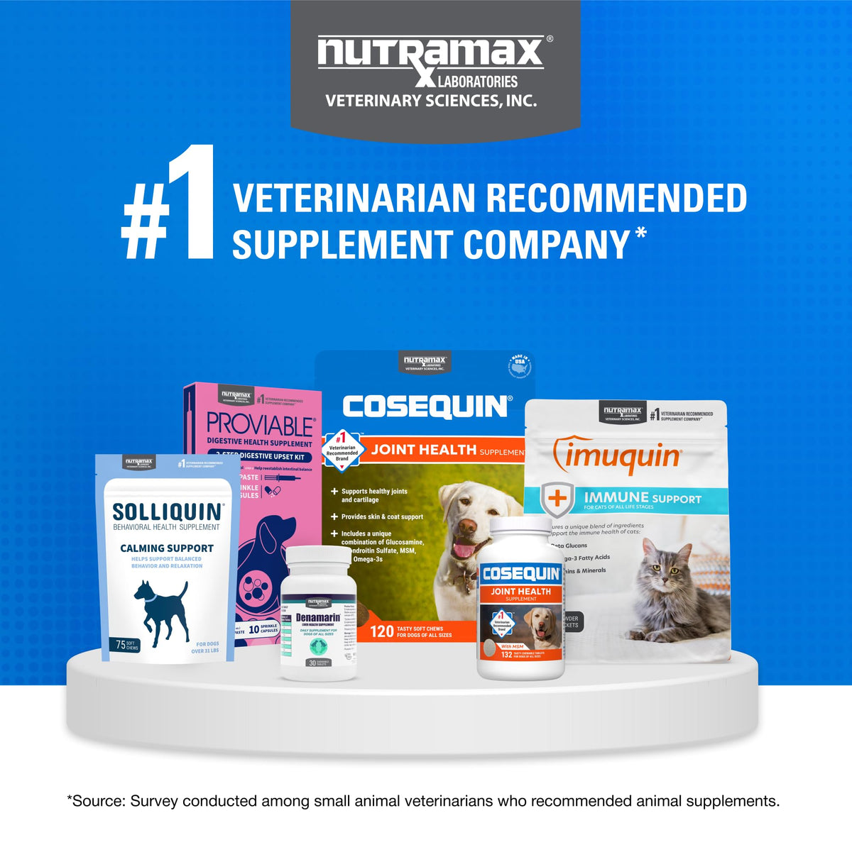 Joint Health Supplement for Cats, Soft Chews, 60ct R7256