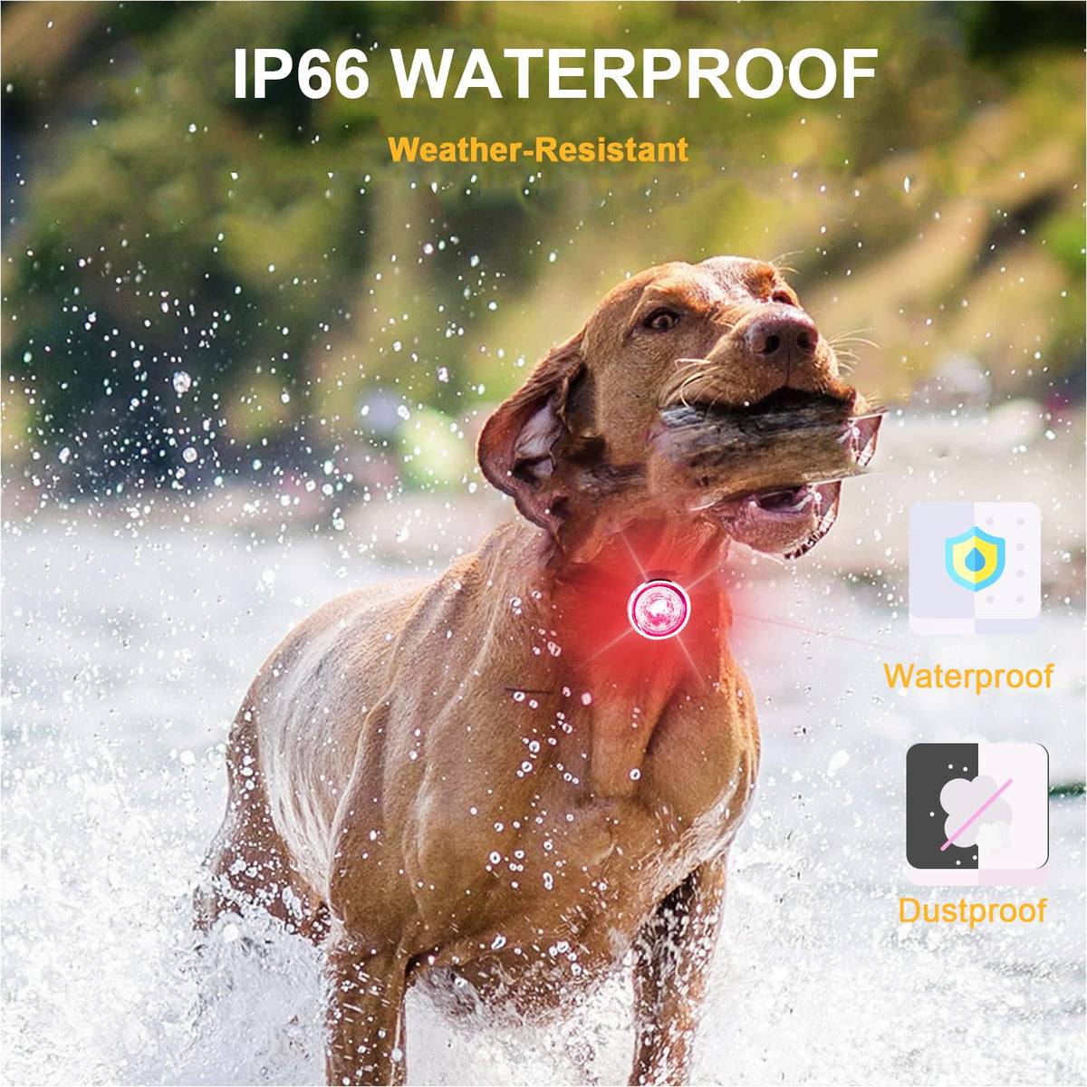 2-Pack Rechargeable Dog Collar Lights Q305