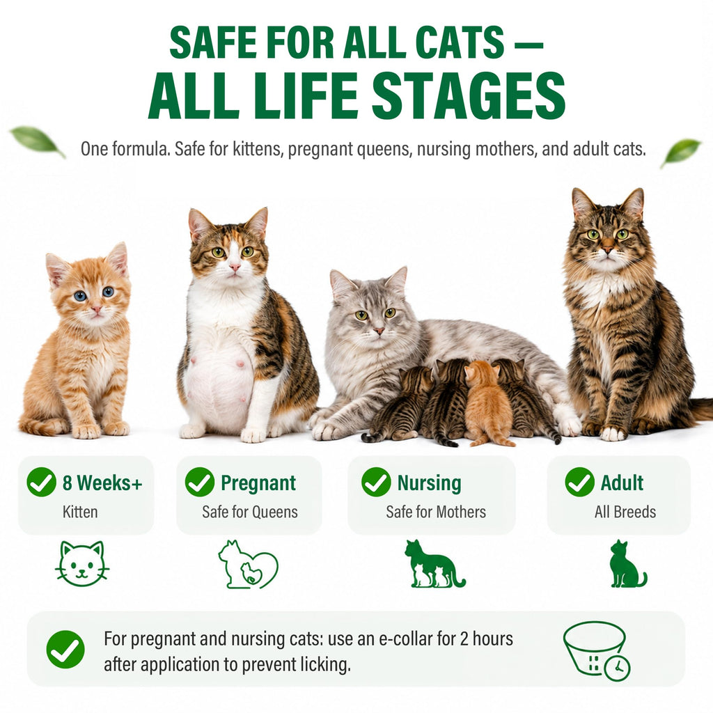 Flea and Tick Drops for Cats 6 Pack I4455