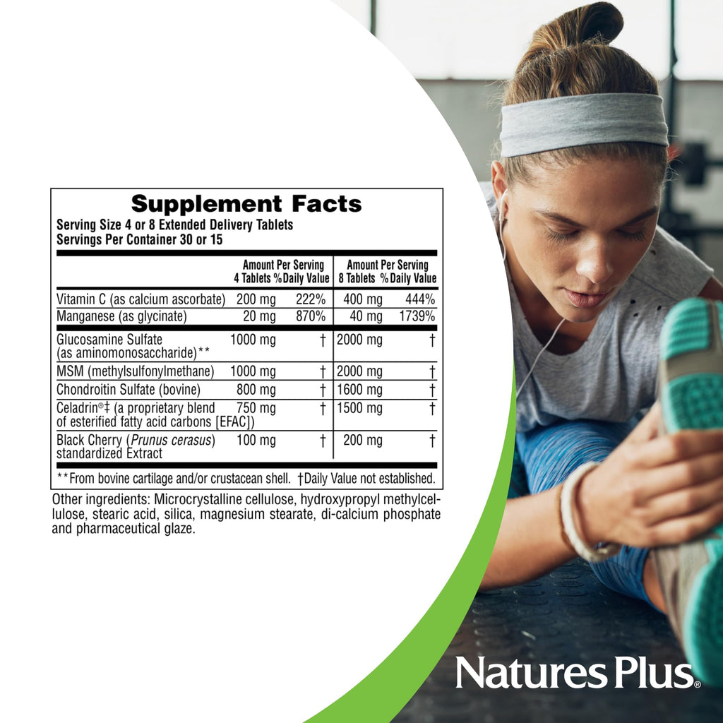 120 Tablets Glucosamine Chondroitin MSM Joint Support N356