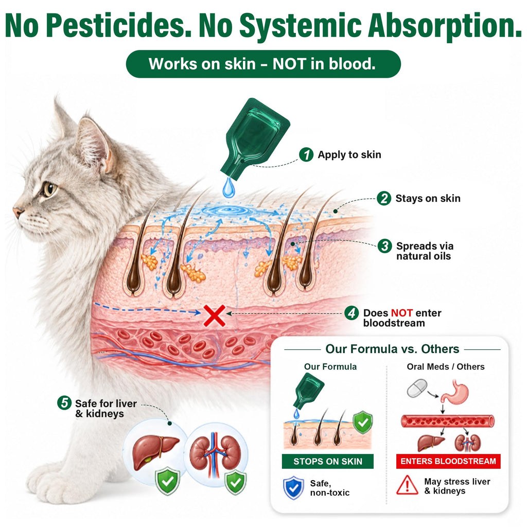 Flea and Tick Drops for Cats 6 Pack I4455