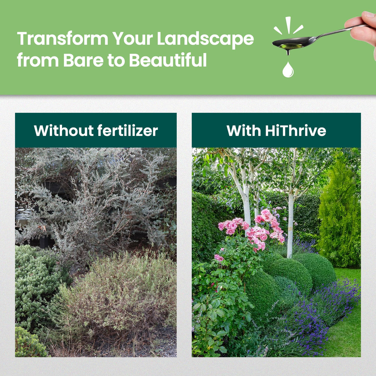16oz Tree and Shrub Fertilizer V5946