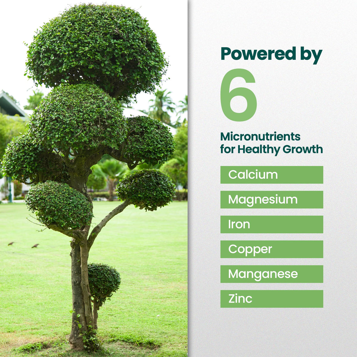 16oz Tree and Shrub Fertilizer V5946